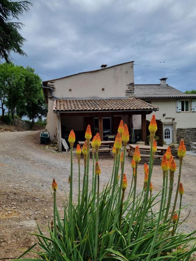 L'Oeil De Carcassonne Caudebronde Exterior foto